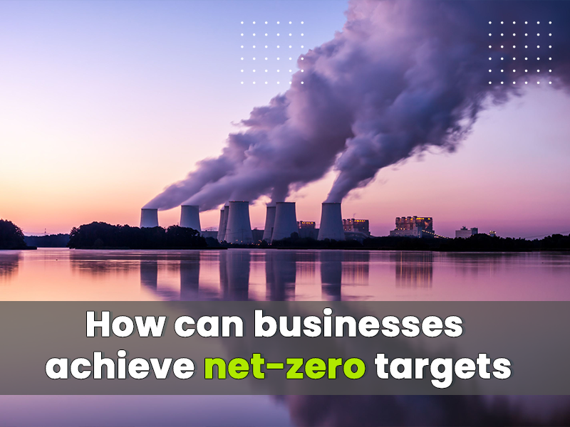 Net Zero Emissions: The Way Forward for Businesses