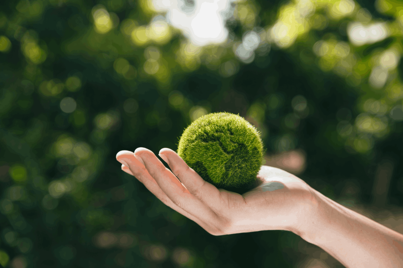 Sustainability & Net Zero Services