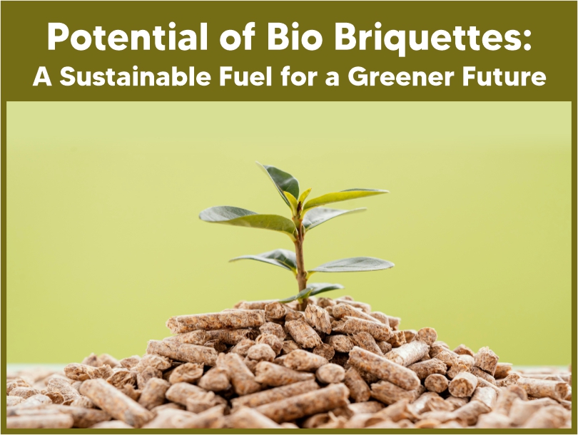 Potential of Bio Briquettes: A Sustainable Fuel for a Greener Future