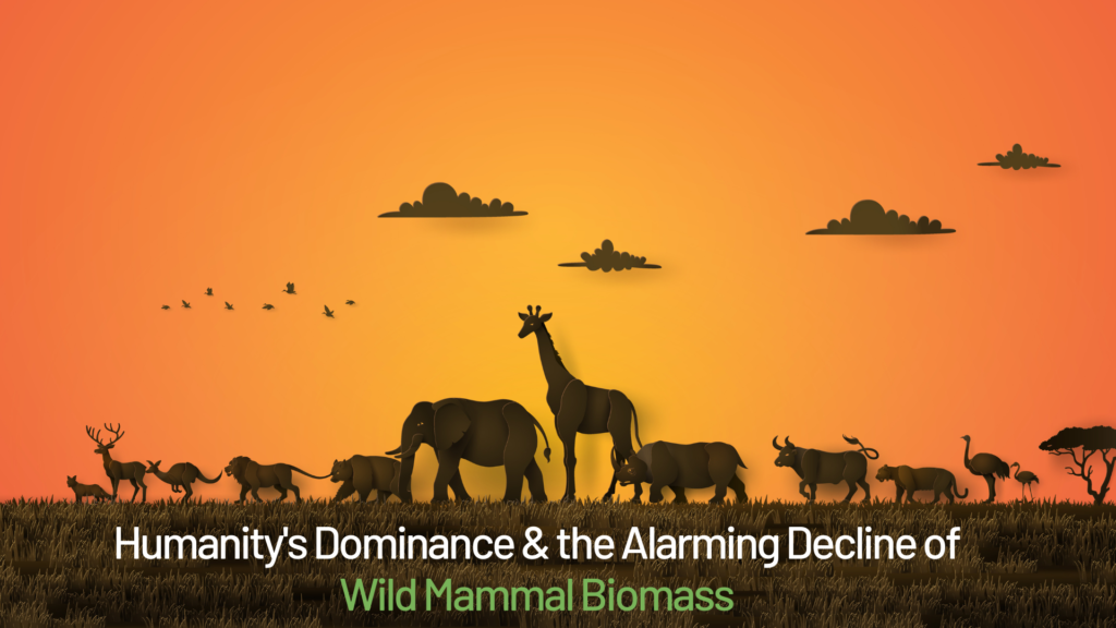 Humanity’s Dominance & the Alarming Decline of Wild Mammal Biomass