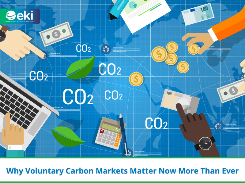 Why Voluntary Carbon Markets Matter Now More Than Ever